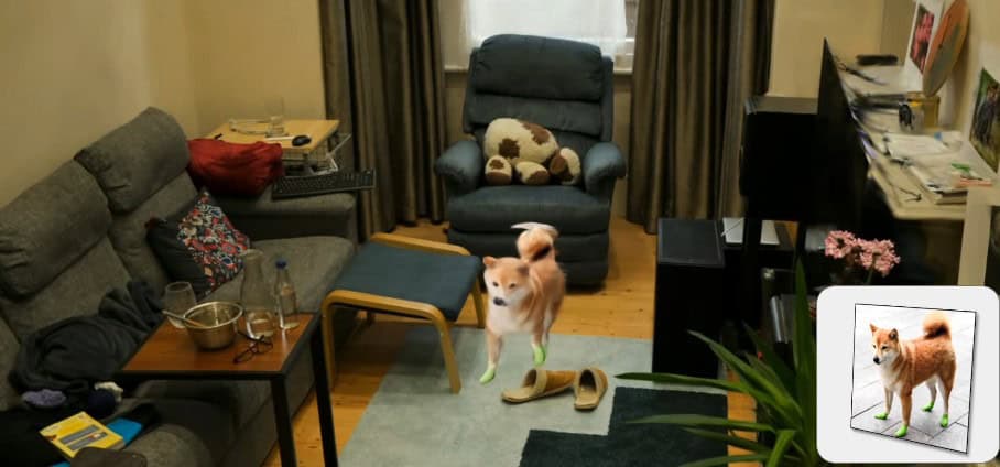 DogRecon: IA impressiona ao criar avatares 3D realistas de cachorros
