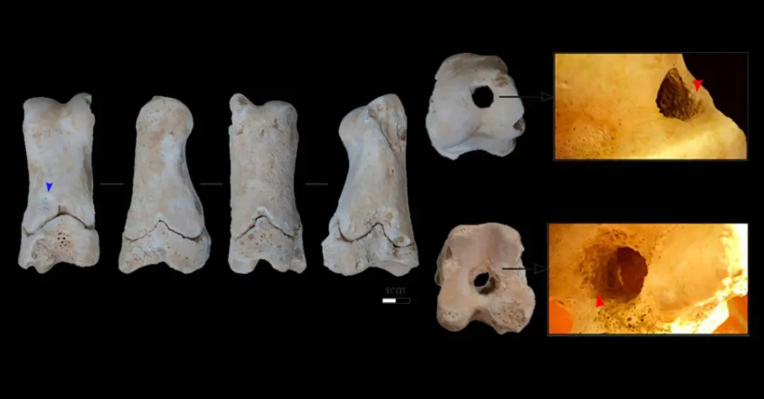 Apito de osso era usado pela “polícia” do Egito Antigo há 3,3 mil anos; ouça