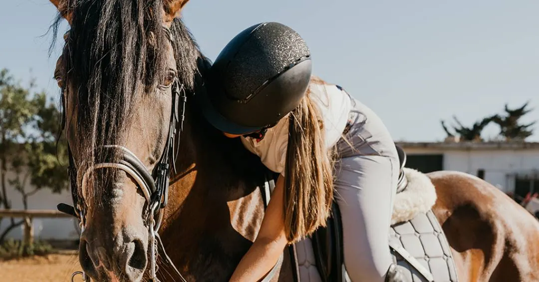 Cavalos podem ter se tornado montáveis graças a alterações genéticas