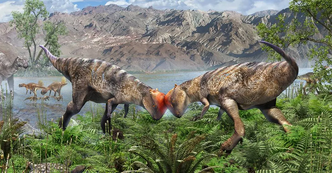 Cientistas encontram fóssil mais antigo e completo de dinossauro raro na Mongólia