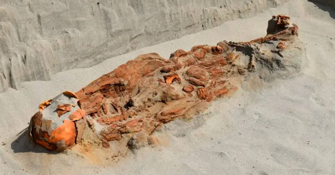 Esqueletos com mãos e pescoços amarrados são encontrados por arqueólogos no Peru