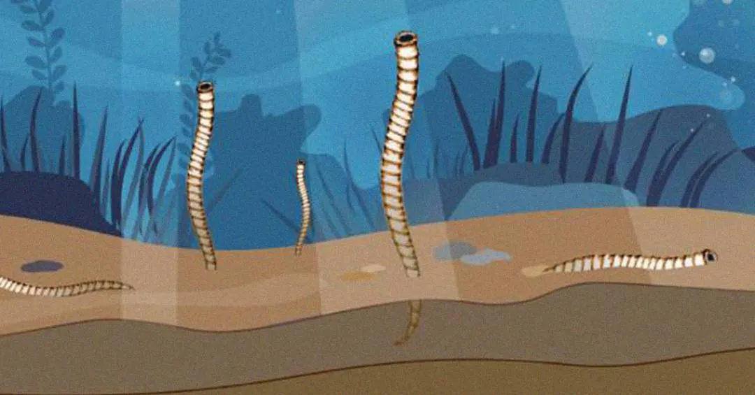 Estudo emprega até acelerador de partículas para descobrir formato de uma das primeiras espécies com esqueleto