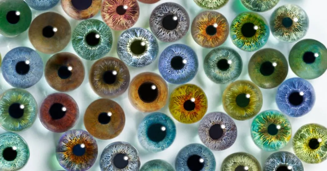 Negros, castanhos, azuis e até bicolores: a ciência que determina a cor dos nossos olhos