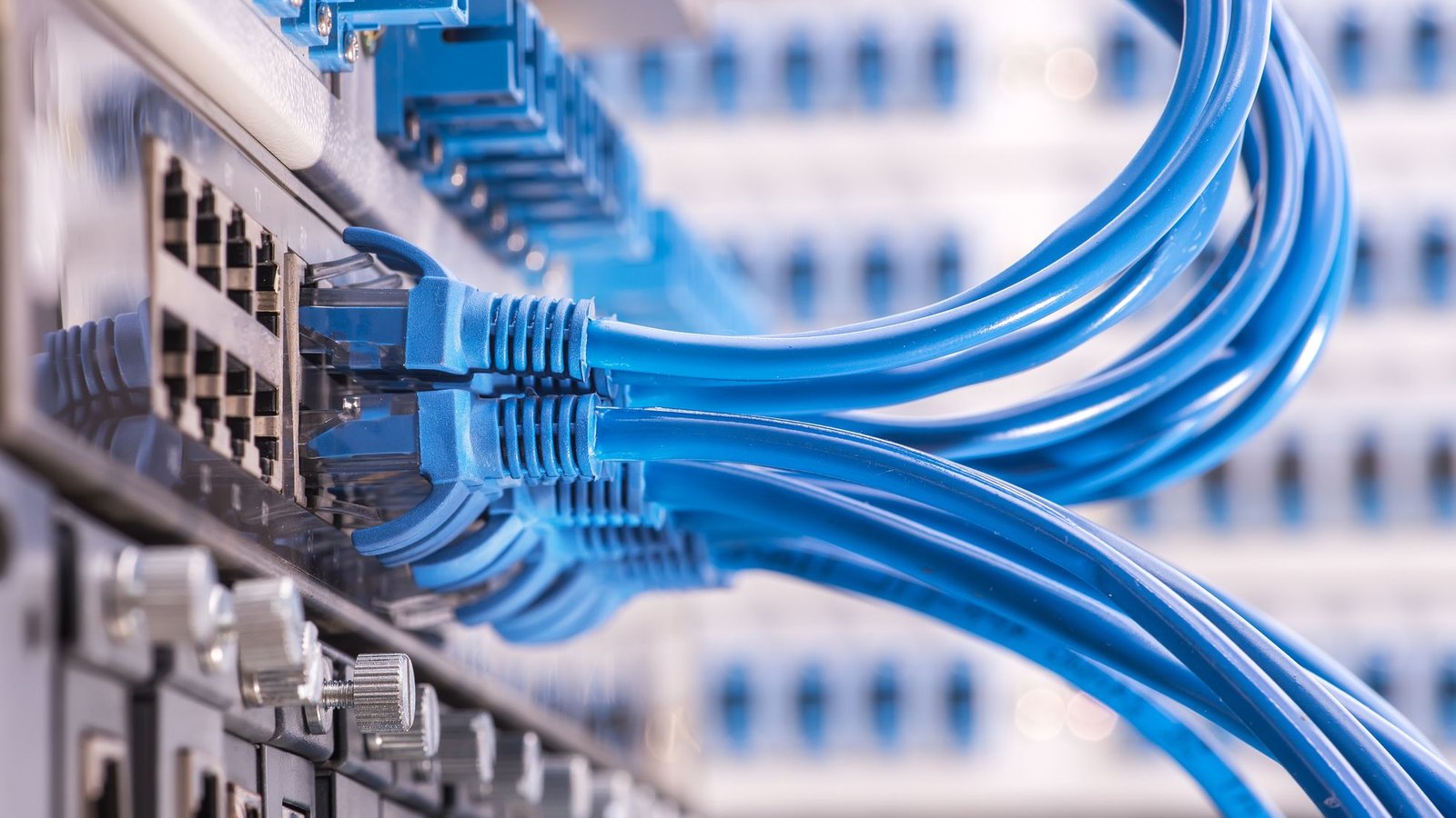 O ninho que chocou a Internet não existe mais
