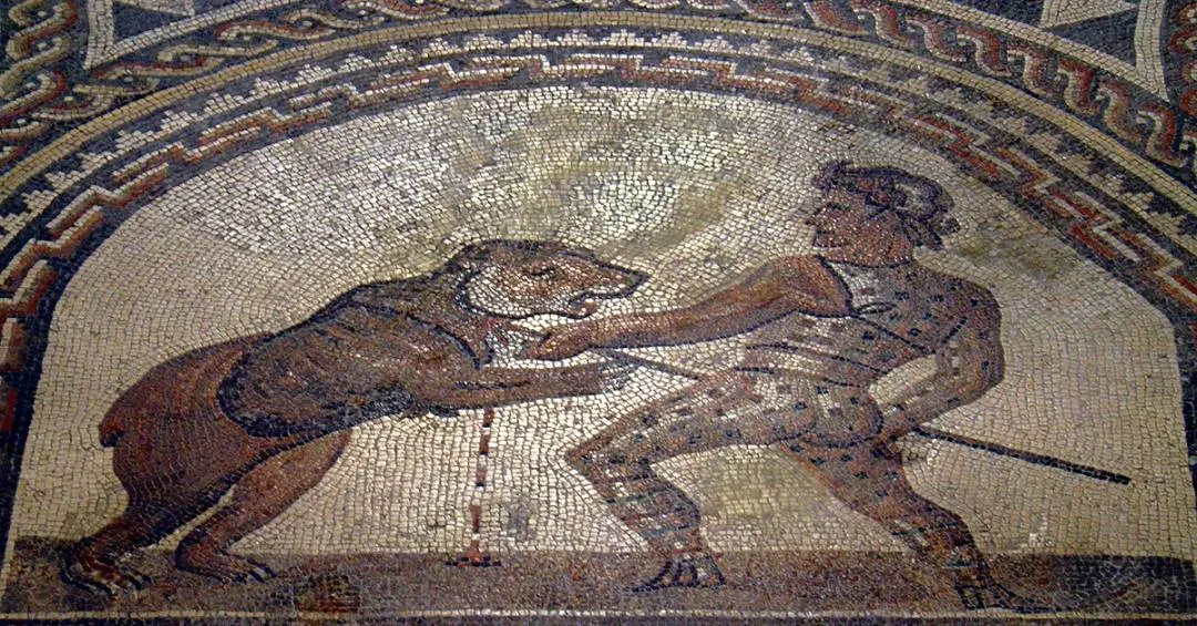 Ossos revelam primeira evidência arqueológica de gladiadores lutando contra ursos