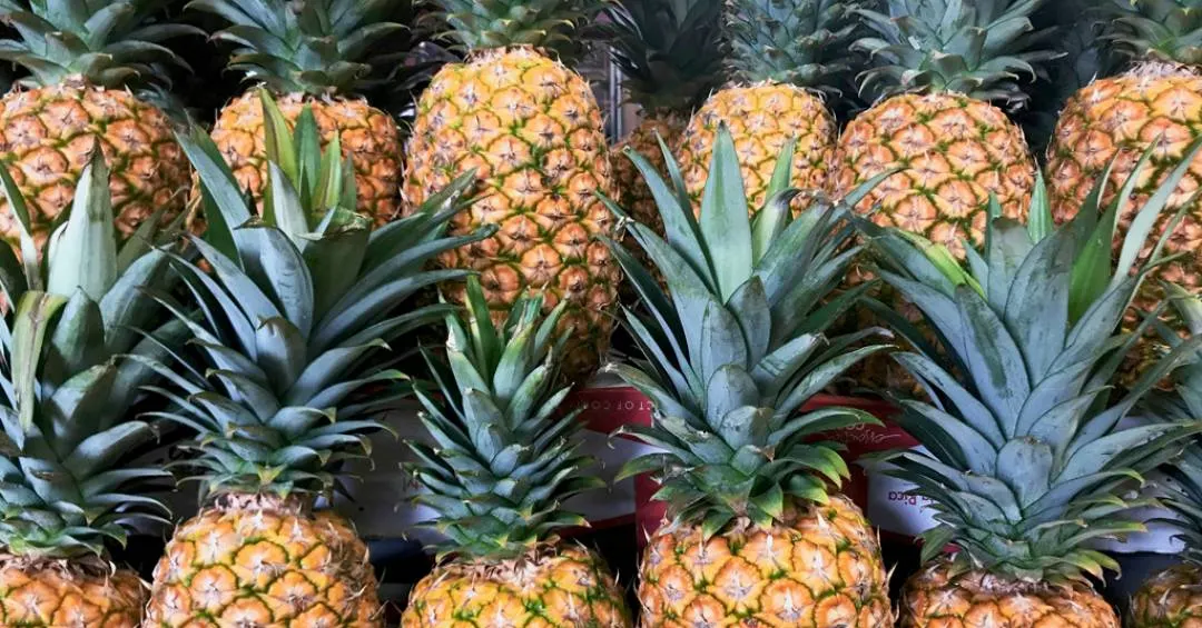 Por que tantos países chamam o abacaxi de ananás?