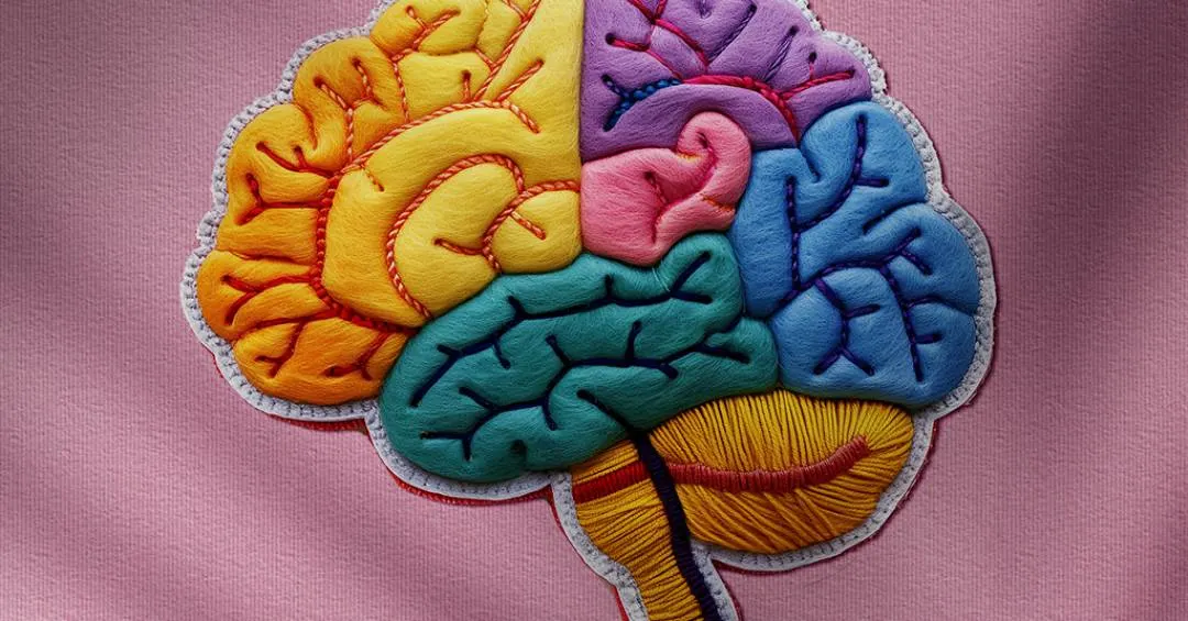 Principais teorias sobre a consciência podem estar investigando a parte errada do cérebro