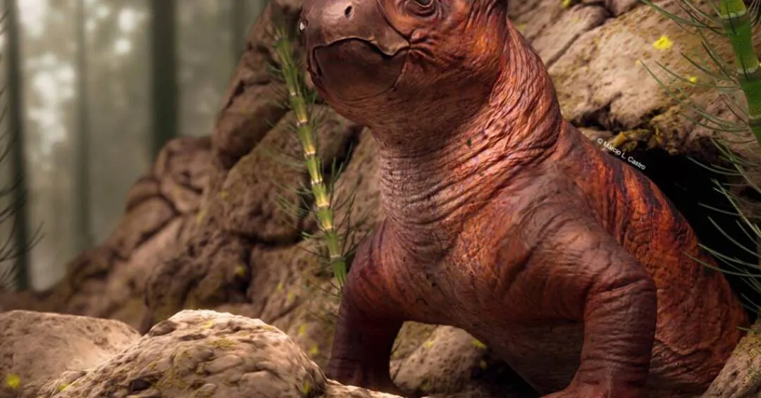 Tomografia revela detalhes inéditos de fóssil de dicinodonte encontrado no Brasil