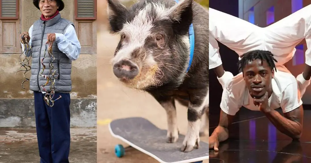 Unhas gigantes, porco no skate e contorcionismo extremo: 10 recordes bizarros do Guinness 2026