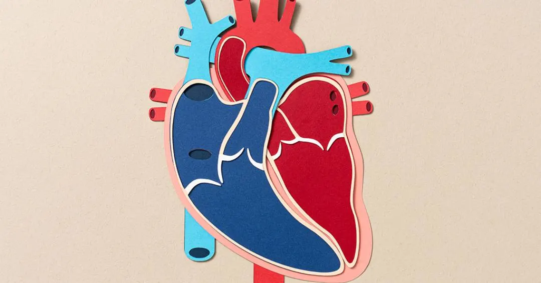 99% dos infartos são causados por um desses quatro fatores de risco, descobre estudo