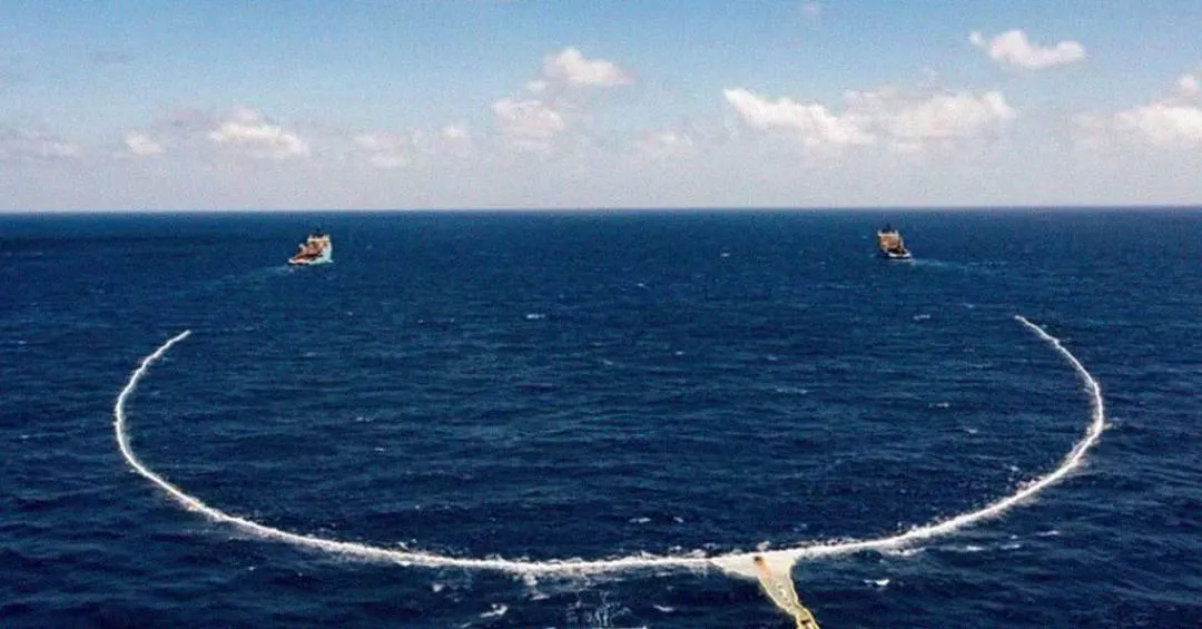 A Grande Mancha de Lixo do Pacífico criou seu próprio ecossistema: a Plastifera