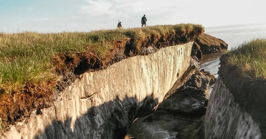 Cientistas acordam microorganismos presos no permafrost há 40 mil anos