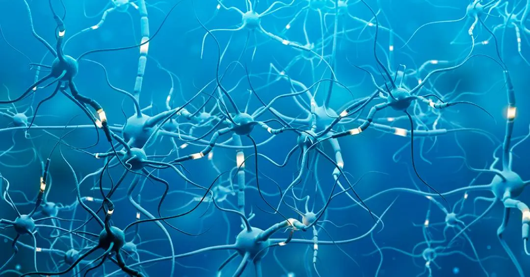 Como funcionam os neurônios artificiais equivalentes aos biológicos