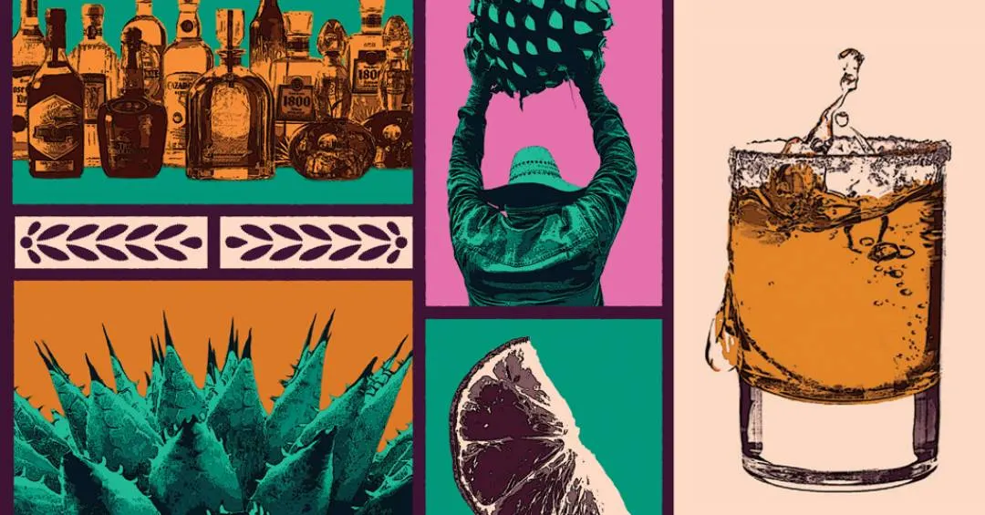 Da planta ao copo: a história da tequila