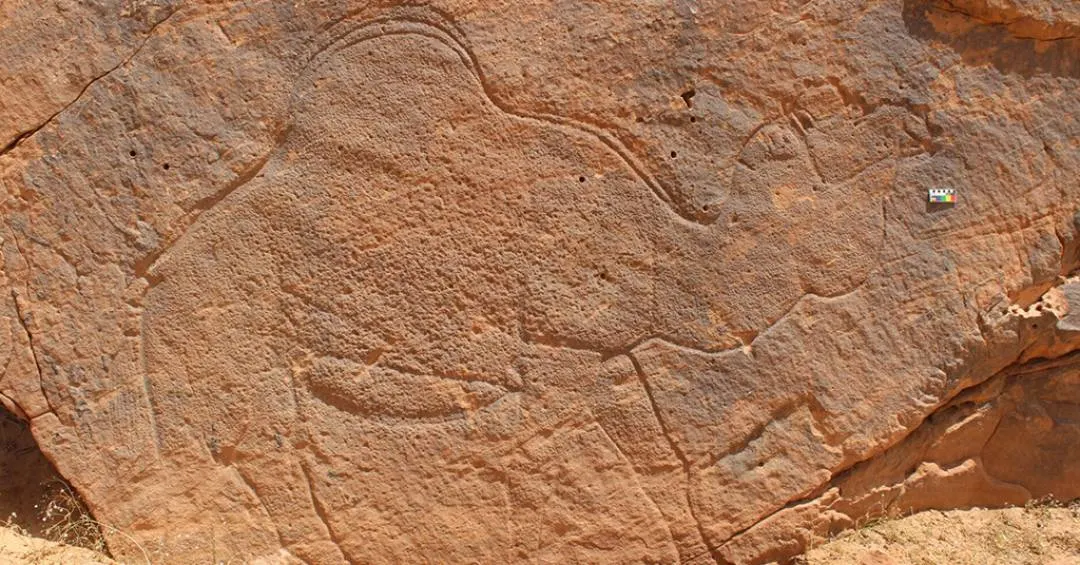 Gravuras de animais de 12 mil anos sinalizavam fontes de água no deserto árabe