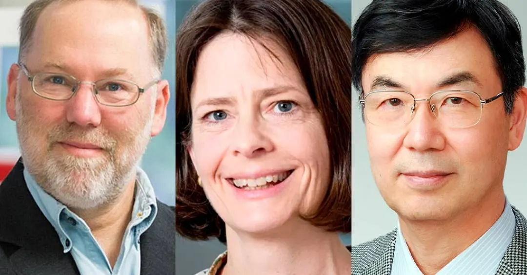 Por que o corpo não se destrói? Descoberta rende o Nobel de Medicina de 2025