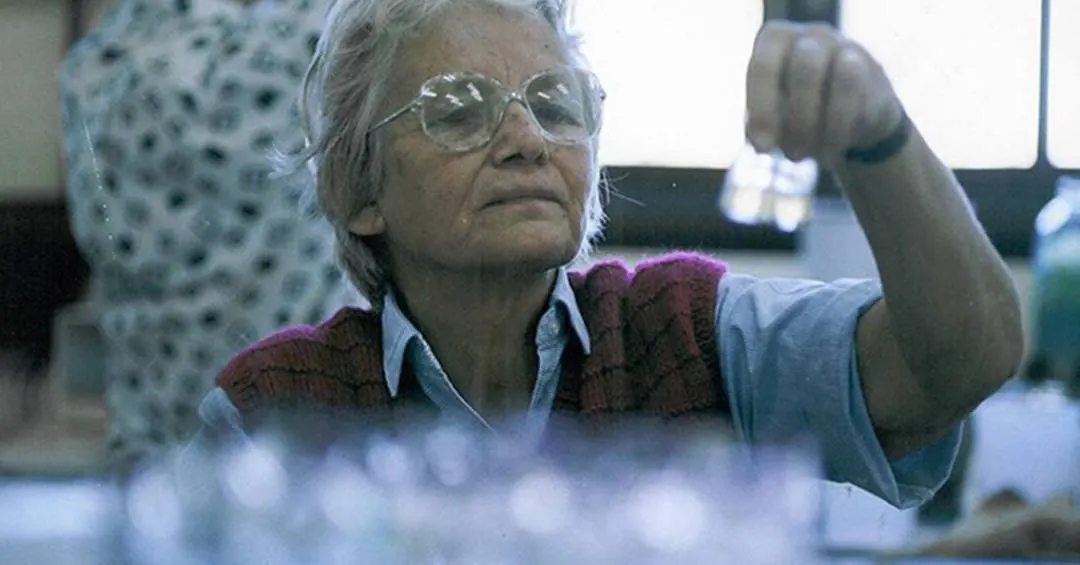 Quem foi Johanna Döbereiner – e como sua pesquisa economiza R$ 10 bilhões ao Brasil todos os anos