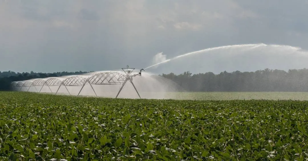 “Agricultura consome 70% da água doce.” Não é bem assim…