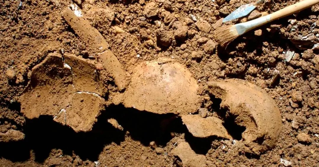 Análise de DNA revela o caso mais antigo de incesto já conhecido entre pai e filha, há 3.700 anos