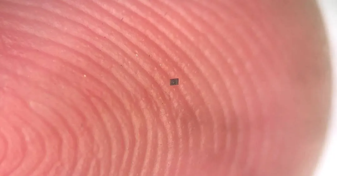 Este robô é menor que um grão de sal – e funciona sozinho