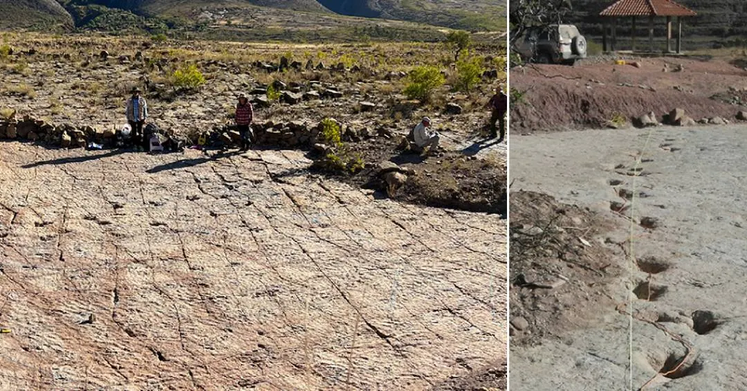 Maior concentração de pegadas de dinossauros do mundo é encontrada na Bolívia