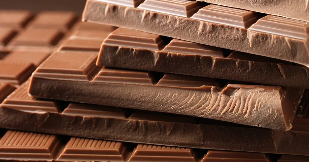 Substâncias do cacau podem ser benéficas à saúde vascular, diz estudo