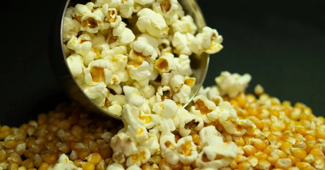 Qualquer milho vira pipoca?