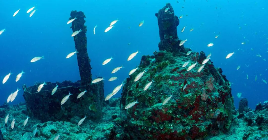 Triângulo das Bermudas brasileiro? Conheça o Parcel de Manuel Luís